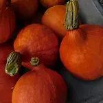 - Rauhenberg